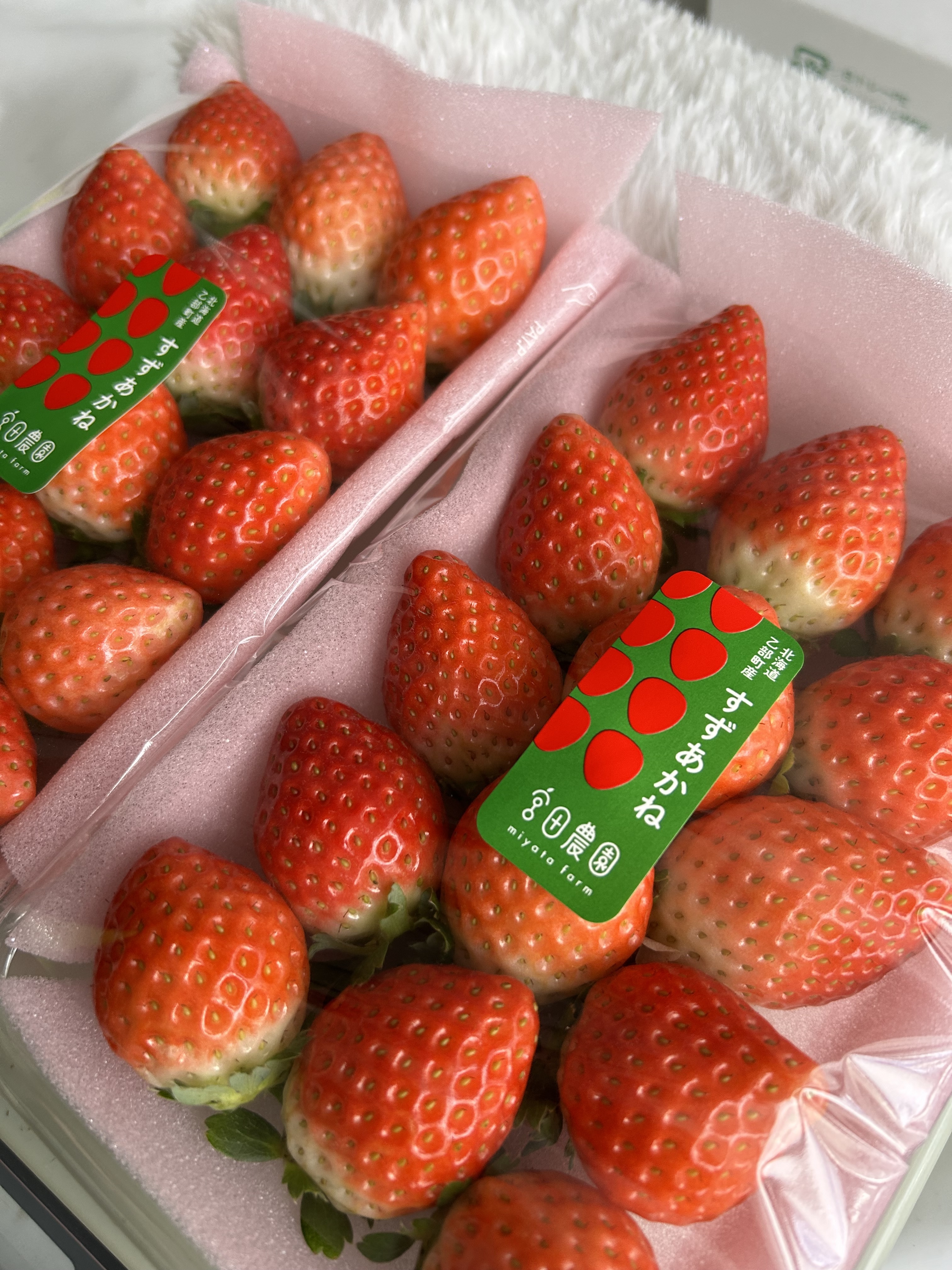 ご注文について｜宮田農園 北海道・乙部町のイチゴ農園