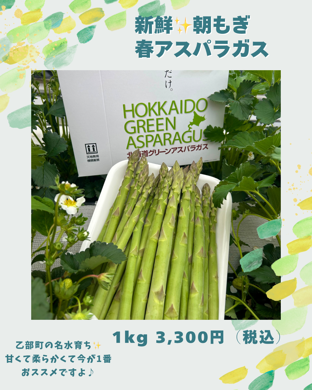 緑　ナチュラル　エレガント　かわいい　写真　花　新年　あいさつ　年賀　Instagramの投稿（45）